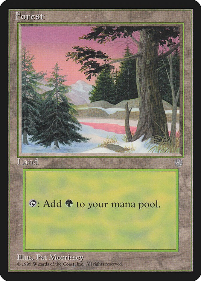 Forest (329)