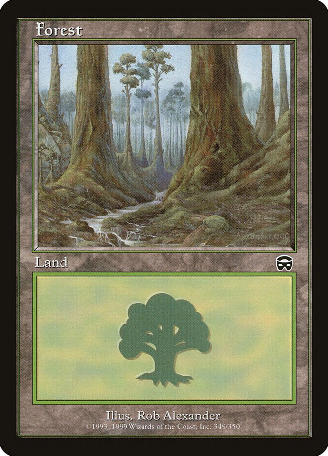 Forest (349)