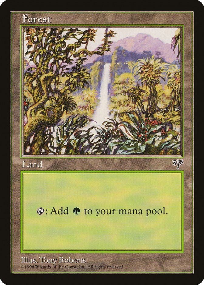 Forest (Waterfall)