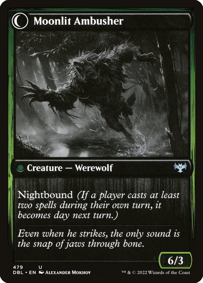 Oakshade Stalker (Back)
