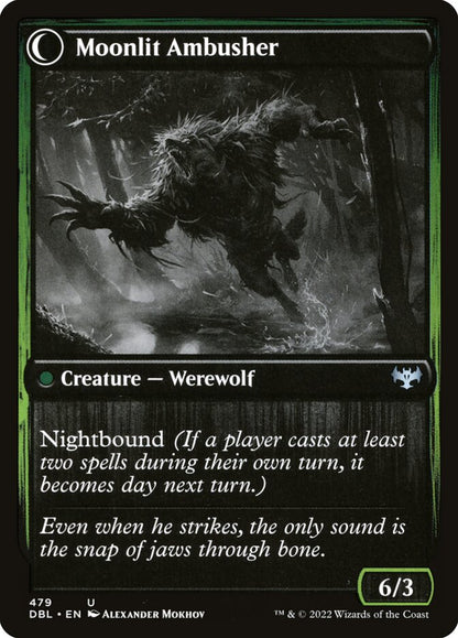 Oakshade Stalker (Back)