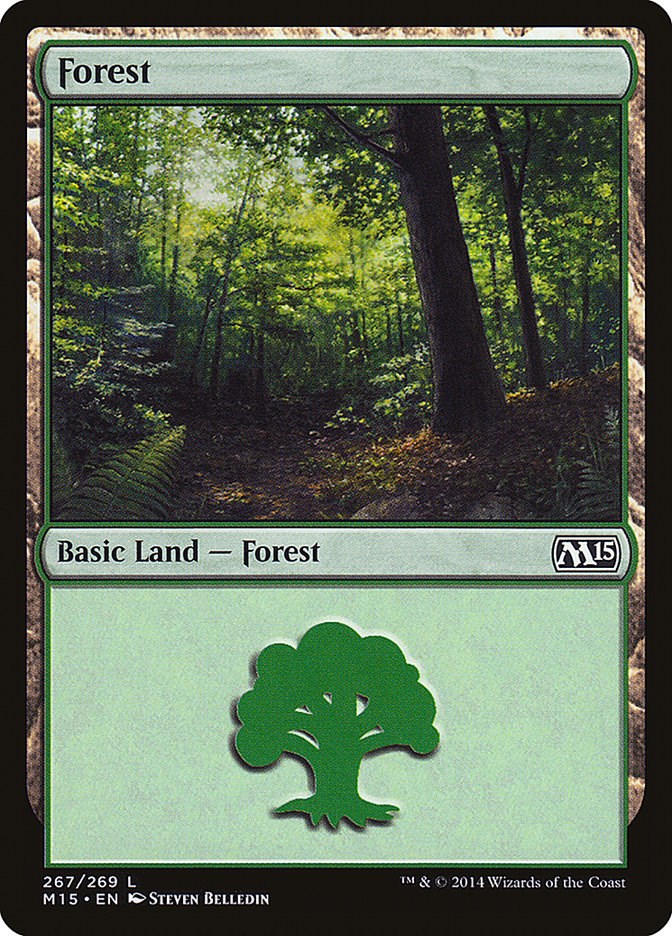 Forest (267)